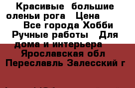 Красивые  большие оленьи рога › Цена ­ 3 000 - Все города Хобби. Ручные работы » Для дома и интерьера   . Ярославская обл.,Переславль-Залесский г.
